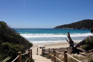 Coaching und Yoga Workshop auf Ibiza Coaching und Yoga Workshop auf Ibiza