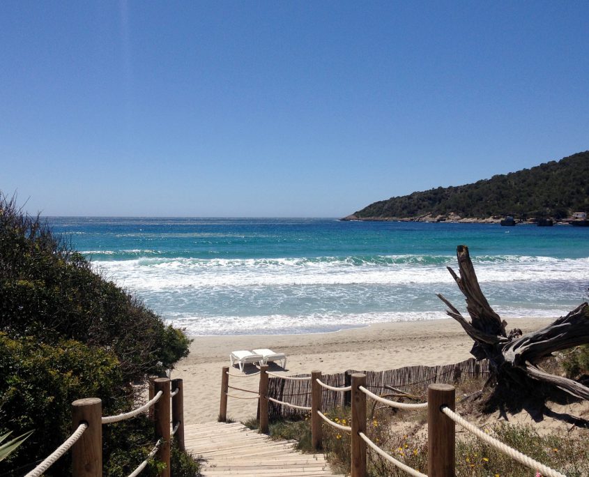 Coaching und Yoga Workshop auf Ibiza Coaching und Yoga Workshop auf Ibiza