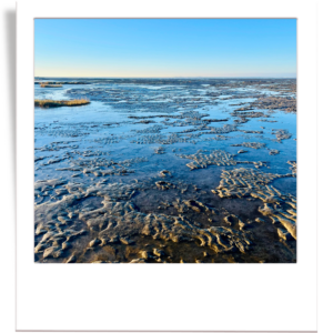 Wattenmeer Coaching berufliche Neuorientierung Coach Cuxhaven Bremen Hamburg Hannover Wattenmeer